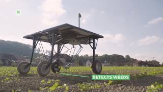 Solar Powered, Weed Killing Robots Could Save Farmers Billions of Dollars on Herbicides
