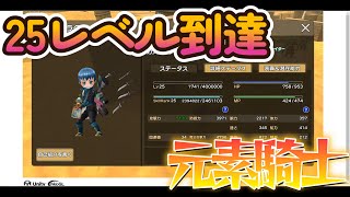 【元素騎士】25レベル到達記念！色々と変化がある