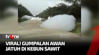 Gumpalan Putih Mirip Awan Jatuh di Kebun Sawit, BMKG Duga Limbah Pabrik | Kabar Hari Ini tvOne