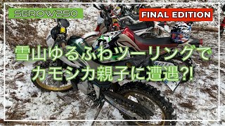 【セロー250】雪の林道 ゆるふわ ツーリングで セロー 乗り親子 に会いました