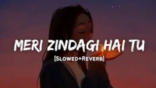 Meri Zindagi hai tu -[Slowed+Reverb]- lofi song