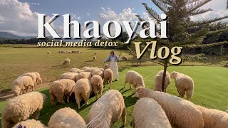 Khaoyai Vlog ⛰️พาเที่ยวเขาใหญ่ พักใจ social media detox  | BEBE DOANG