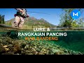 ini dia cara mancing ikan bandeng dapat teroos