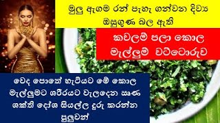 මුලු ඇගම රන් පැහැ ගන්වන දිව්‍ය ඔසුගුණ බල ඇති කවලම් පලා කොල මැල්ලුම්  වට්ටොරුව | Shra Raji