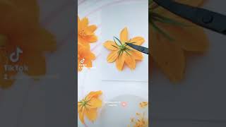 How to preserve cosmos flower