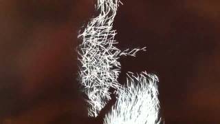 Kinect + Processing