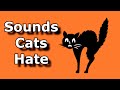 SOUNDS CATS HATE ~ Sound To Scare Cats and Dogs ~  Ultrasonic Alarm To Scare Off Animals