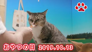 2019.10.13 ちゅーる Churu. October13, 2019 【Miaou みゃう】