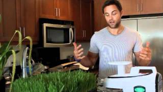 WHEAT GRASS BENEFITS AND CASE STUDY FITLIFE TV