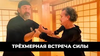 Трёхмерная встреча силы | Мастер Александр Скалозуб | Илицюань