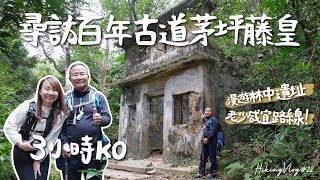 4K 尋訪百年古道茅坪藤皇🔎👣 帶爸爸行山 | 漫遊林中遺址 | 老少咸宜初級路線 | 輕輕鬆鬆三小時KO HIKING VLOG#22