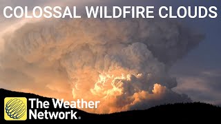 Colossal wildfire clouds can create their own weather