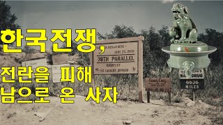 한국전쟁 전란을 피한 어느 사자의 이야기 - 국보 청자 사자형 뚜껑 향로