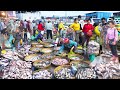 Fish Market, Nom Banhjok, & Market Food - Cambodian Street Food Compilation