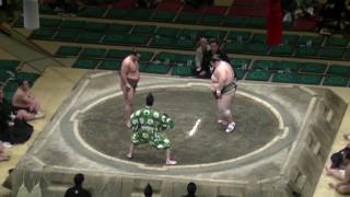 高麗の国-勇輝/大相撲.2017.1.17(11)/komanoumi-yuki/day10 #sumo