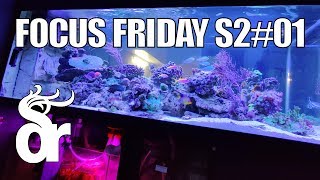 FF S2#01 | Setting Up a New Reef Tank