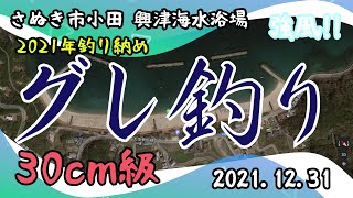 グレ釣り さぬき市小田興津海水浴場　2021.12.31