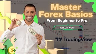 Master Forex Trading with BULLARK: From Beginner to Pro!