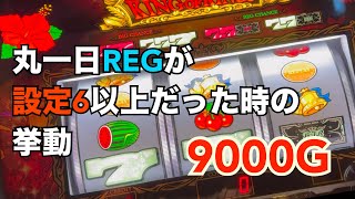 【キングハナハナ】高設定を確信し、朝からキンハナをぶん回した結果