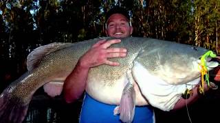 IFISH - Murray Cod on Surface