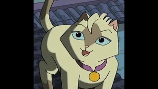 Sagwa, The Chinese Siamese Cat Ep 2 The New Years Clean Up/Firefly Nights