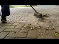 visually satisfying asmr of sweeping heavy sands off concrete floor 💤 this will put you to sleep 😴