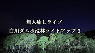 無人癒しライブ 白川ダム水没林ライトアップ 3　#白川ダム #白川ダム水没林 #水没林