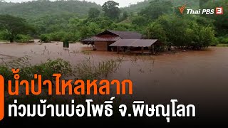 น้ำป่าไหลหลากท่วมบ้านบ่อโพธิ์ จ.พิษณุโลก | วันใหม่ไทยพีบีเอส | 1 ส.ค. 65