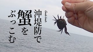 沖堤防で蟹をぶっこみつつショアジギング【ぶっこみ釣り】