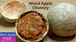 Wood Apple chutney I అమృత తుల్యమైన వెలగ పండు పచ్చడి చేసి తినండి, హెల్త్ కి చాలా మంచిది I Velagapandu