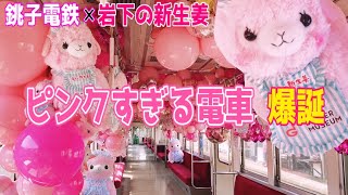 【銚子電鉄❌岩下の新生姜】ピンクすぎるコラボ列車がかわいすぎた🤣💕ニュージンジャー号出発式