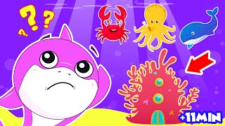 Baby Shark - Who Lives In The Sea + More Nursery Rhymes & Kids Songs
