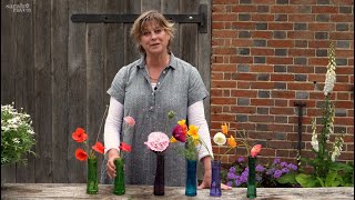 Sarah's Favourite July Poppies