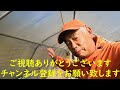 畑わさび　植付　今年も少し栽培します　駒川農園　23.10.31