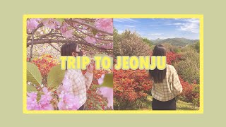 Vlog33 | Trip to JEONJU, Hanok Village, Parks, Food and Culture in KOREA 🎭 Viaje a Jeonju en Corea