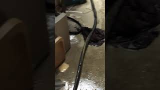 Pipe Water Leaking Throughout Basement