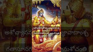 Bhagavad Gita Shlokas and Meanings | భగవద్గీత శ్లోకములు  తాత్పర్యము #bhagavadgita  #lordkrishna