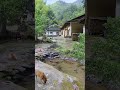 还是山沟沟里的农村