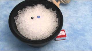 Superscript Vilo cDNA synthesis kit (qPCR step 4)