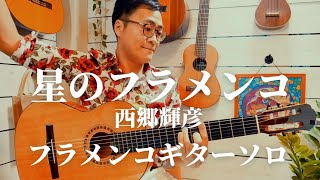 【TAB】星のフラメンコ西郷輝彦をフラメンコギター1本で弾いてみた Hoshi no flamenco solo flamenco guitar