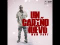 wow popy un cariño nuevo audio oficial