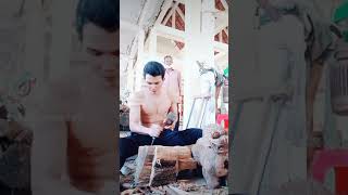 ចម្លាក់សត្វតោ