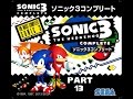 Sonic 3 Complete: Part 13 - Vidya Bros.