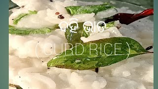 ଦହି ଭାତ | Dahi Bhata Recipe | South Indian Traditional Dish Curd Rice |