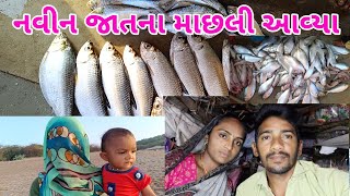 આજે મસબા મા આવી નવીન પરજાતી ની માસલી 🐟🐟🐟.#રોજીંદૂ જીવન# #ગૂજરાતી વીડયો# #દરીયાઈ ખેડૂત#