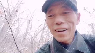 2020年山裡的第一場雪，刺老芽頂著雪採榛蘑，油錢都沒掙回來；刺老芽請朋友吃飯，意外暴露了自己的小金庫，喝酒誤事啊！