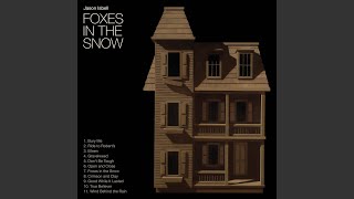 Foxes in the Snow