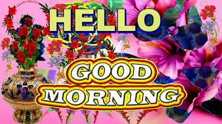 Hello Good Morning | Let's Have a Day Filled With Good Health | Happiness | Safety | Peace & Love