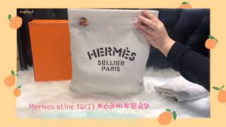 HERMES 愛馬仕 手袋 ALINE 10/37 米白色 帆布 單肩包