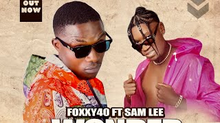 Foxxy40_x_Sam-Lee_Wonder-Why_Official Audio